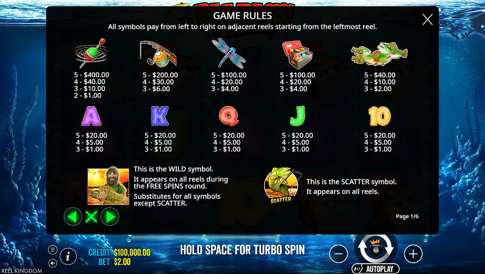 Big Bass Bonanza rules screenshot