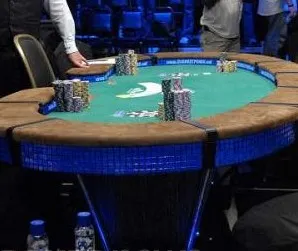 2008 WSOP Final Table to be Auctioned 0001