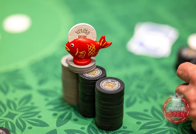 Hung Quach Card Protector