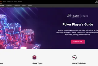 Borgata Poker Michigan Poker Guidebook