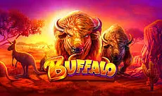 Buffalo
