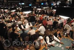 Just a Few of the Tables In the Amazon Room