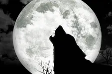 Werewolf is the name of the game that's hot with poker players away from the table right now.