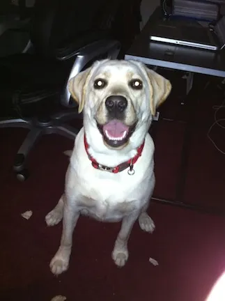 A Day in the Life of Vanessa Rousso 102