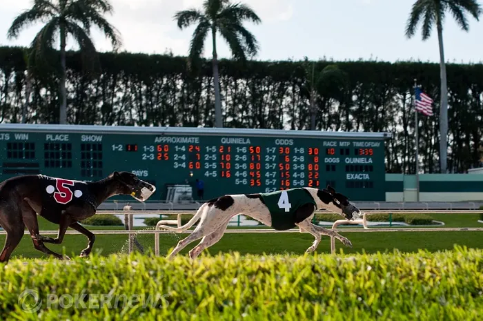 Palm Beach Kennel Club